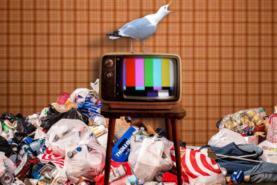 A retro TV on a stand, with a colored bar test pattern, surrounded by a mound of trash. A seagull perches on top of the TV.